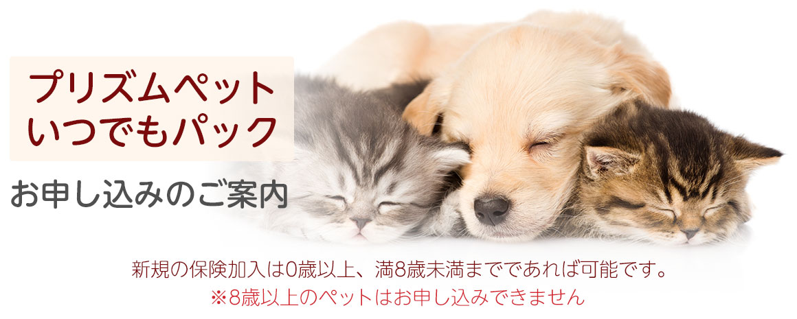プリズムペットお申し込みのご案内