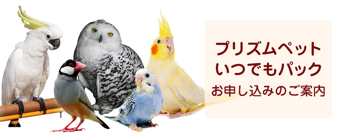 プリズムペットお申し込みのご案内