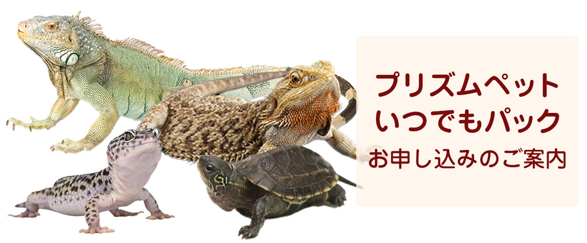 プリズムペットお申し込みのご案内
