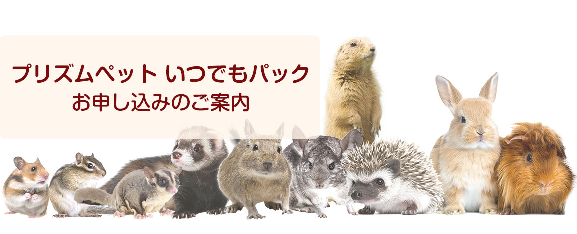 プリズムペットお申し込みのご案内