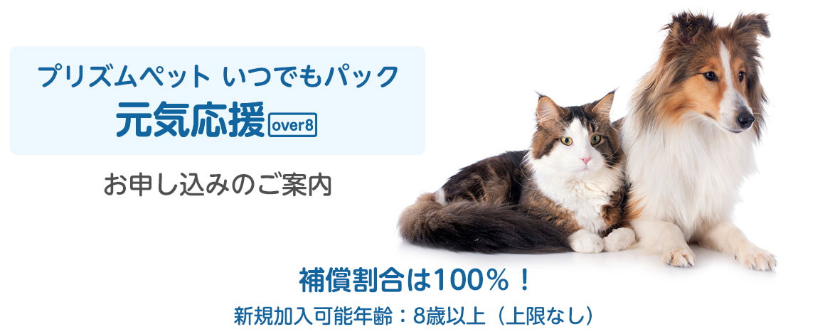 プリズムペットお申し込みのご案内